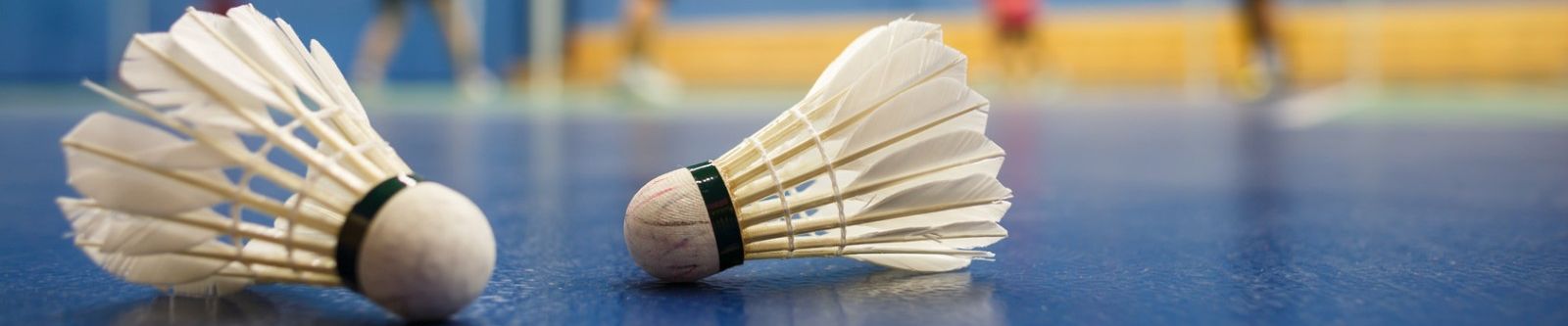 Badminton