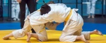 judo f 84422247